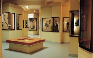 museo%20lione%201[1]