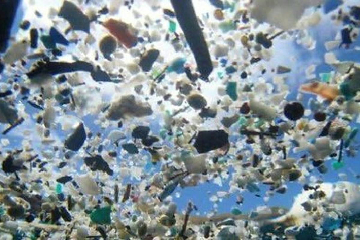 Studentessa inventa un pesce robot stampato in 3D che elimina le microplastiche dall’acqua